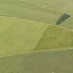 Oblique aerial view of the cropmarks of the rectilinear settlement, taken from the W.