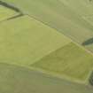 Oblique aerial view of the cropmarks of the rectilinear settlement, taken from the SW.