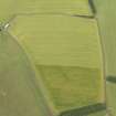 Oblique aerial view of the cropmarks of the rectilinear settlement, taken from the S.