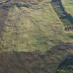 Oblique aerial view centred on the remains of the hut-circles and field system on Balnacoil Hill, taken from the NNW.