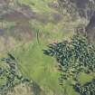 Oblique aerial view of the remains of the township buildings, head dyke and rig at Dola, taken from the N.