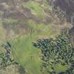 Oblique aerial view of the remains of the township buildings, head dyke and rig at Dola, taken from the NNW.