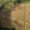 Oblique aerial view of the cropmarks of the pits, barrows, enclosure, track and field drain, taken from the S.