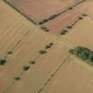 Oblique aerial view of the cropmarks of the Roman Temporary Camp at Newstead and the settlement, taken from the SE.