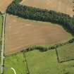 Oblique aerial view of the cropmarks of the field boundary, taken from the WNW.