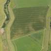 Oblique aerial view of the cropmarks of the unenclosed roundhouses at Anniston Mill, taken from the NE.