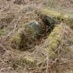 Kilbride Cairn (40321), Cist 1.