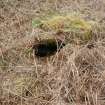 Kilbride Cairn (40321), Cist 2.