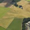 Oblique aerial view of the cropmarks of the rig, taken from the WNW.