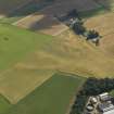 Oblique aerial view of the cropmarks of the rig, taken from the W.