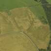 Oblique aerial view of the cropmarks of the palisaded settlement, taken from the SSW.