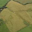 Oblique aerial view of the cropmarks of the palisaded settlement, taken from the N.