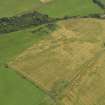 Oblique aerial view of the cropmarks of the palisaded settlement, taken from the NW.