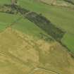 Oblique aerial view of the cropmarks of the palisaded settlement, taken from the SW.