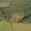 Oblique aerial view of the remains of Clune Wood Recumbent Stone Circle, taken from the S.