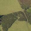 Oblique aerial view of the remains of the recumbent stone circle at Auchlee, taken from the SE.