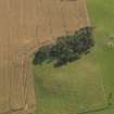 Oblique aerial view of Loanend recumbent stone circle, taken from the N.