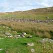 Smallholding A general view