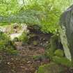 View of ice house and standing stone to NE, Neattock.