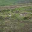 Annishader Main Group (NG 440 509): building NG 44019 50869 with head dyke in background, looking NE