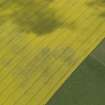 Oblique aerial view of the cropmarks of the settlement, taken from the NW.