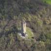 Oblique aerial view of the Wallace Monument, taken from the NW.
