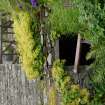 View of outfall of undergorund tail race from waterwheel at HY29462 09713 adjacent to stable and cartshed block