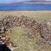 Lovaig: township viewed from the S, building 8 in foreground