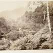 Page 2/2. General view of a river and birch woods.
Titled 'Trossachs.'
PHOTOGRAPH ALBUM No. 146 : The Annan Album Page 2/2