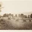 Page 2/3. General view of haycocks in field.
PHOTOGRAPH ALBUM No. 146 : The Annan Album Page 2/3