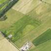 Oblique aerial view of the cropmarks of the possible barrows, taken from the NNE.