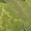 Oblique aerial view of the cropmarks of the rectilinear settlement and the ditch of the Roman Temporary Camp at Torwood, taken from the SSW.