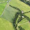 Oblique aerial view of the cropmarks of the ring ditch and field boundary, taken from the E.