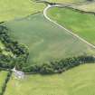 Oblique aerial view of the cropmarks of the ring ditch and field boundary, taken from the NNW.