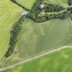 Oblique aerial view of the cropmarks of the ring ditch and field boundary, taken from the SW.