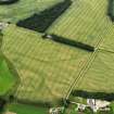Oblique aerial view of the cropmarks at Dalpatrick Cottage, looking to the NNW.