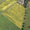 Oblique aerial view of the cropmarks of the cursus monument, enclosure and henge at Drybridge, taken from the NW.