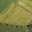 Oblique aerial view of the cropmarks of the cursus monument and pits at Drybridge, taken from the SW.