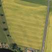 Oblique aerial view of the cropmarks of the cursus monument and pits at Drybridge, taken from the SSE.