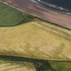 Oblique aerial view of the cropmarks of the round houses and field boundary, looking to the ENE.