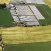 Oblique aerial view of the cropmarks of the enclosure and rig, looking to the NNW.