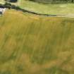 Oblique aerial view of the cropmarks of the ring ditch, rig and possible round house, looking to the SSE.