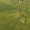 Oblique aerial view of the cropmarks of the barrows and pits, looking to the S.