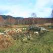 Farmstead 101, Upper Allt Dubh, from SW