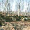 Site 102, Upper Allt Dubh, from SW