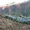 Farmstead 107, Upper Allt Dubh, from W