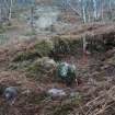 Probable still bothy 117, Upper Allt Dubh, from NE