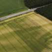 Oblique aerial view of the cropmarks of the ring ditch, looking to the NNW.