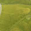 Oblique aerial view of the cropmarks of the barrows and pits, looking to the SSE.