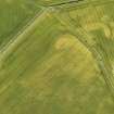 Oblique aerial view of the cropmarks of the barrows and pits, looking to the SW.